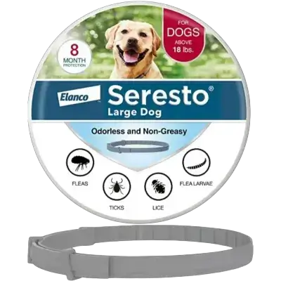 Anti Flea & Tick Collar