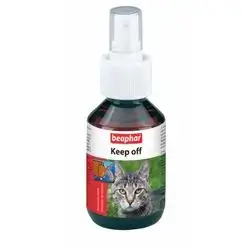 Keep Off - Cat