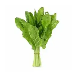 Fresh Selk Bunch