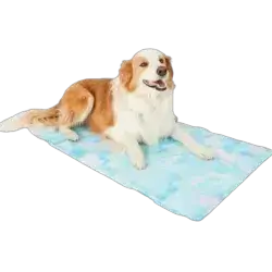 Cooling Mat 100x60CM