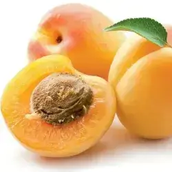 Apricot