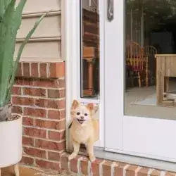 Petsafe Sliding Glass Pet Door 2 Pcs M