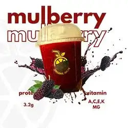 Mulberry