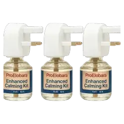Calming Perfum 144 ML