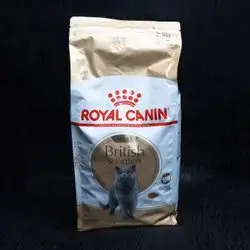 Royal Canin Adult-British Short Hair