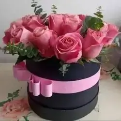 Box 