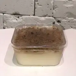 Lotus Custard