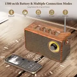 FREEFISH Portable Retro Speaker Bluetooth Radio