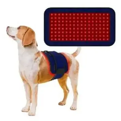 Pupac Dog Belt Wrap Device