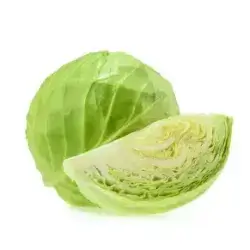 White Cabbage