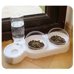 Dual Feeder & Water dispenser