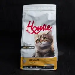 Homie-Kitten & Mother-Chicken