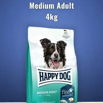 Happy Dog