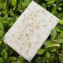 Rosemary Soap