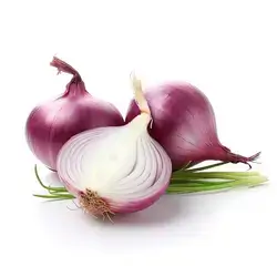 Purple Onion