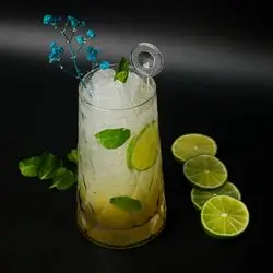 Mango Mojito