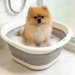 Pet Washing Bath