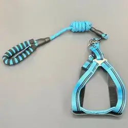 Dog Leash + Harness 