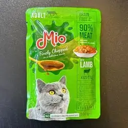 mio 100ge