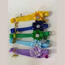Flower Pet Collars - Assorted Colors