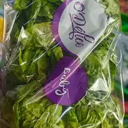 Baby Lettuce