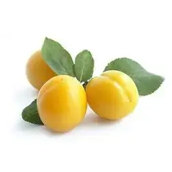 Yellow Plum