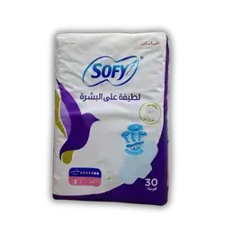 Sofi Ultra Feminine Sanitary Pads, Large, 30 Count