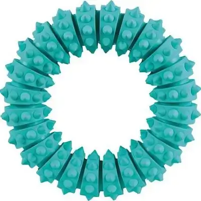 Dog Chew Toy