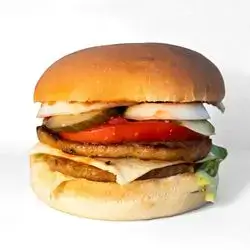 Double Cheese Chicken Burger