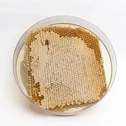 Mountain Honey 1 Kg