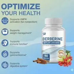 Berberine 1500mg - Berberine HCl 97% Purity with Ceylon Cinnamon Complex- Supports fat metabolism, weight management, Gastrointestinal, digestive system - 90 Capsules