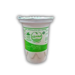 Chenina mint ice cream