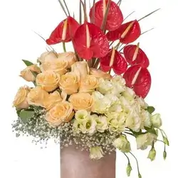 Box Flower's