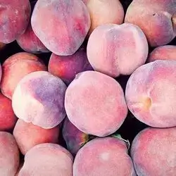 Peach
