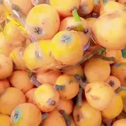Loquat