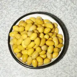 Egyption Olive