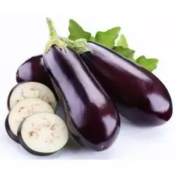 Black Eggplant