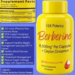 Berberine Supplement, 15X Potency, Ceylon Cinnamon for Enhanced Absorption, Synergistic Effects, Supports Sugar and fat metabolism, blood glucose, cholesterol, weight management, Gastrointestinal, digestive system, 90 Caps berberine