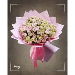 30 Baby Roses