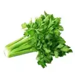 Celery