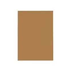 canson paper 70 x100cm - - avana