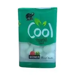 Cool Gum Mint World 10g