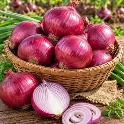 Purple Onion