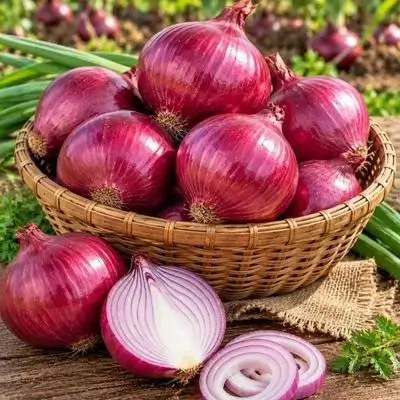 Purple Onion
