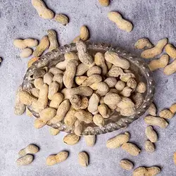 Pistachio