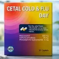 Cetal Cold & Flu Day (20 caplets)