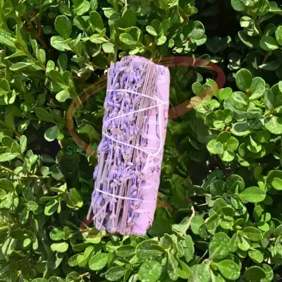 Incense Stick