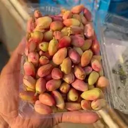 Green Pistachios
