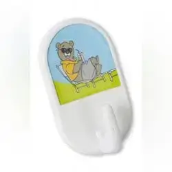 Adhesive Hanger With Picture