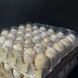 Mardin egg